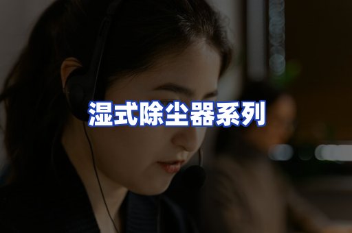 湿式除尘器系列
